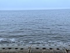 -东疆建设开发纪念公园