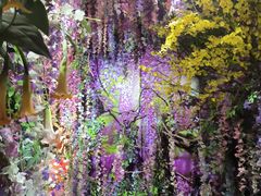 -正佳雨林生态植物园