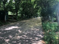 -凤凰沟景区