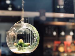 景观位-津乐园(王顶堤店)