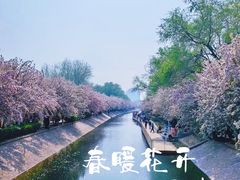 -海棠花溪(元大都城垣遗址公园)