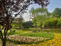 -石家庄市植物园