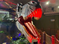 -恐龙探索乐园(磁器口店)