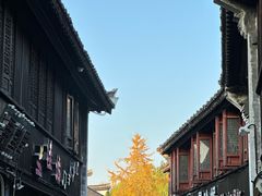 -嘉兴月河历史街区