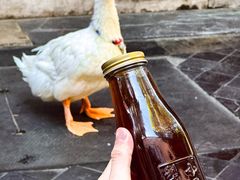 -小吊梨汤·北京菜·烤鸭(白石桥南店)