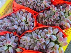 -西郊国际农产品交易中心