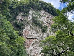 -老虎土菜馆·农家土菜