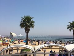 -碧海金沙