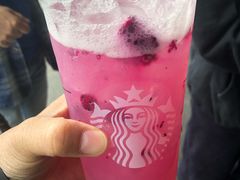 mango dragon refresh-星巴克