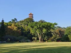 -深圳仙湖植物园