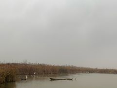 -盐城丹顶鹤湿地生态旅游区