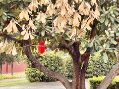 -洛阳周公庙博物馆