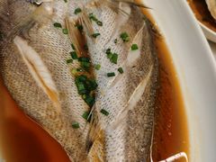 -华盛丰温州大排档(东三环南路店)