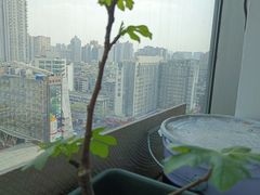 -帝京日语(春熙路旗舰校区)