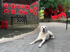 -蔡家宅