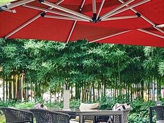 -杭州君悦酒店·青莳