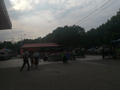 -卜蜂莲花(杨高北路店)