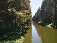 -黄海国家森林公园