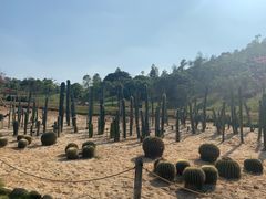 -东莞植物园