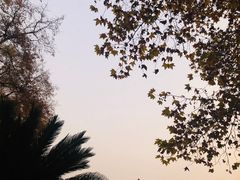 -东湖磨山景区