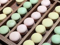 -曲水兰亭(北京四惠店)