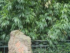 -杭州黄龙洞