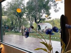 -Supine Bistro溯泮餐厅