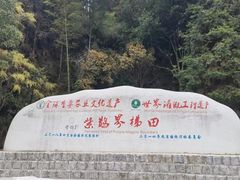 -紫鹊界梯田景区