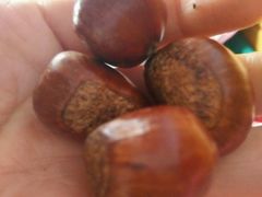 -德州小高糖炒栗子(十三局店)