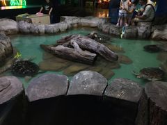 -重庆欢乐海底世界