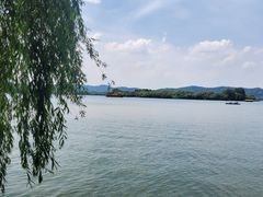 -湖畔居茶楼(湖滨店)