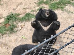 -大连森林动物园