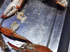 -渔民船说·北塘海鲜·天津菜·海肠捞饭(北塘古镇店)