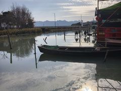 -晓琦农家菜馆·地道农家菜