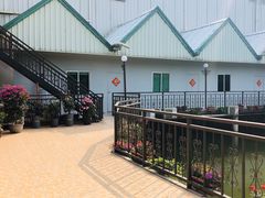 -锡才大羽羽毛球馆(深港花卉店)