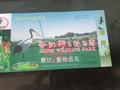 -合肥野生动物园