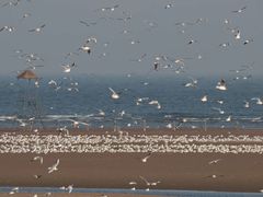 -金梦海湾浴场