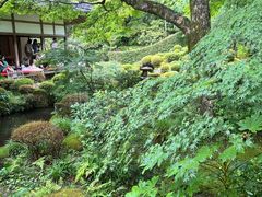 -三千院
