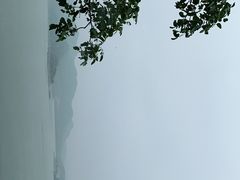 -望湖烤鱼