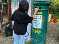 -五营红松林海景区