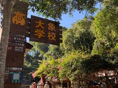 -野象谷景区
