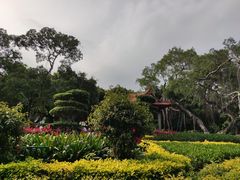 -古榕公园