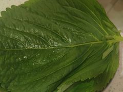 -炭之家·齐齐哈尔非遗烤肉·鲜切直供(中央大街店)