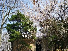 -紫金山天文台