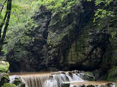 -牛背梁国家森林公园