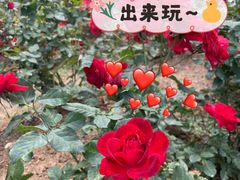 -人民公园(罗湖区)