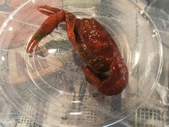-虎虎龙虾大排档(双井店)
