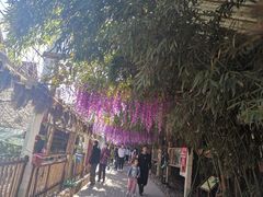 -呀路古热带植物园