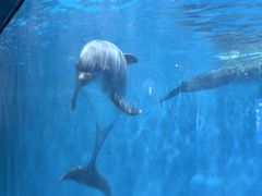 -福州罗源湾海洋世界旅游区