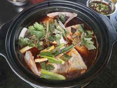 -老杨砂锅鱼庄